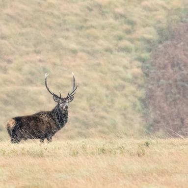 Marie Jeanne Fautres