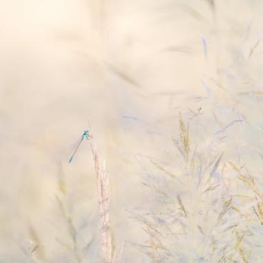 Marie Jeanne Fautres