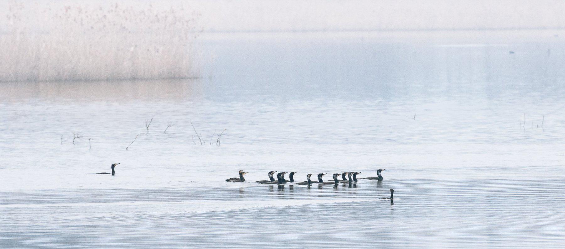 Marie Jeanne Fautres