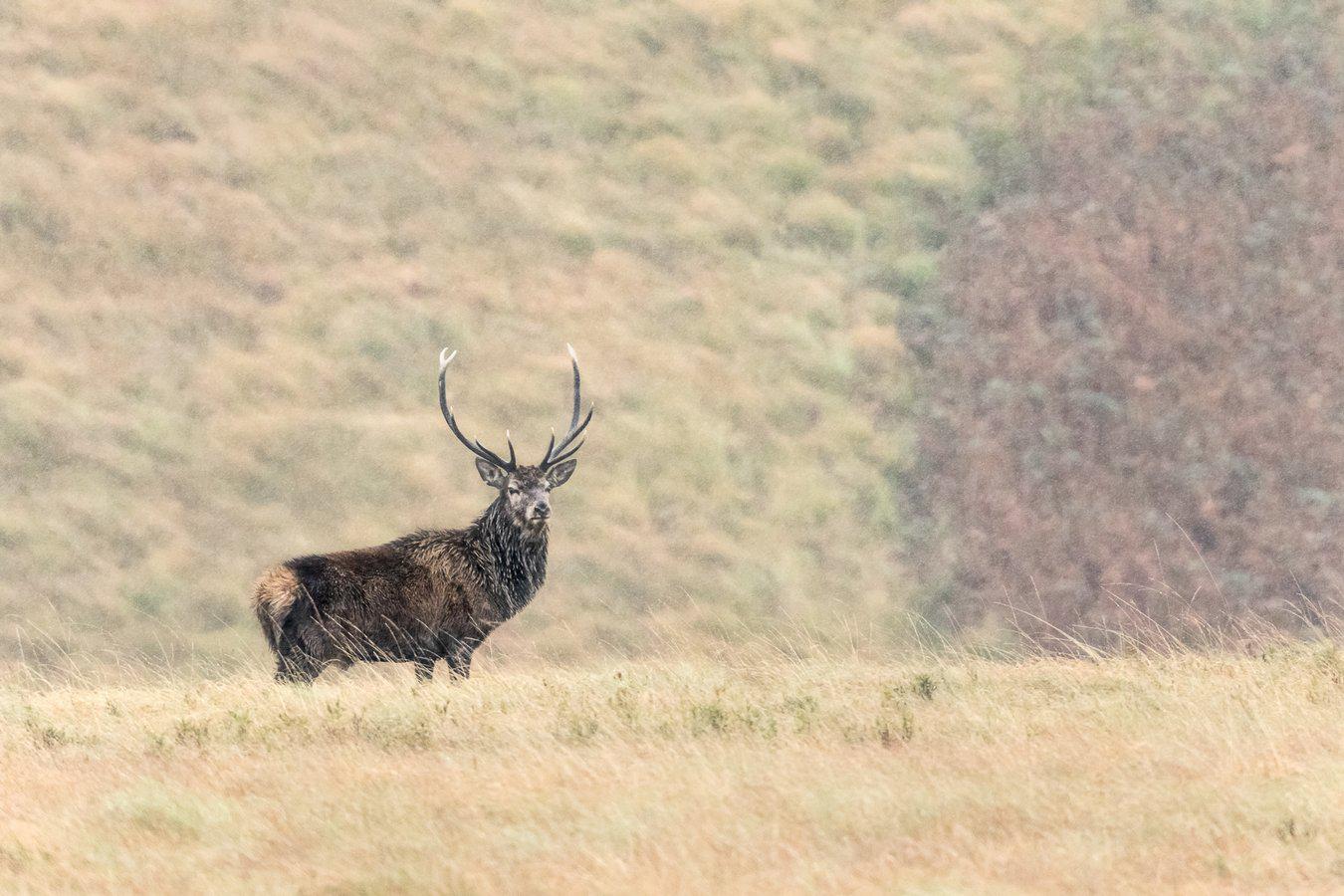 Marie Jeanne Fautres