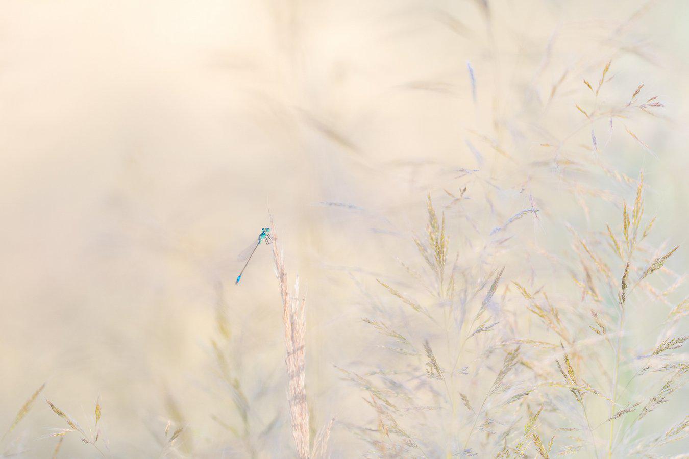 Marie Jeanne Fautres