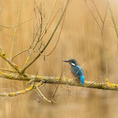 Marie Jeanne Fautres
