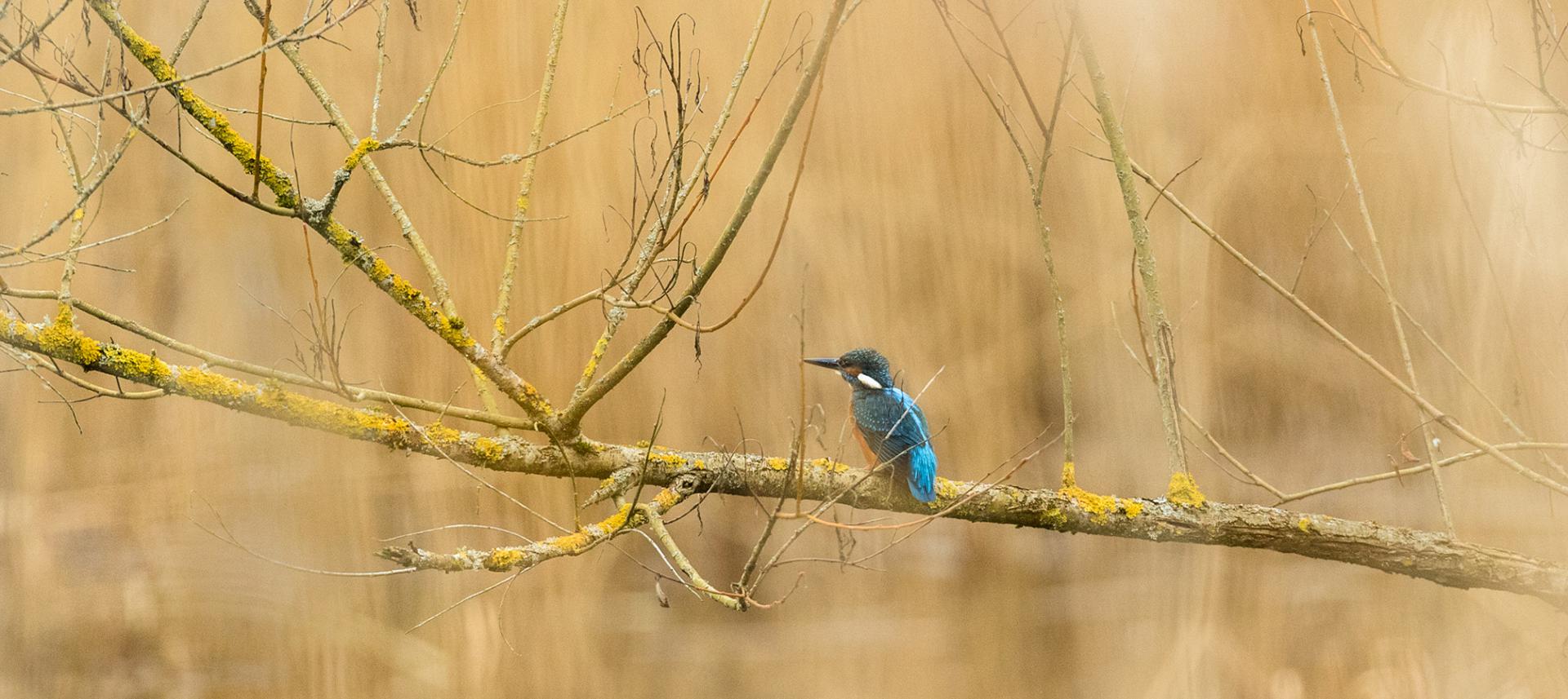 Marie Jeanne Fautres