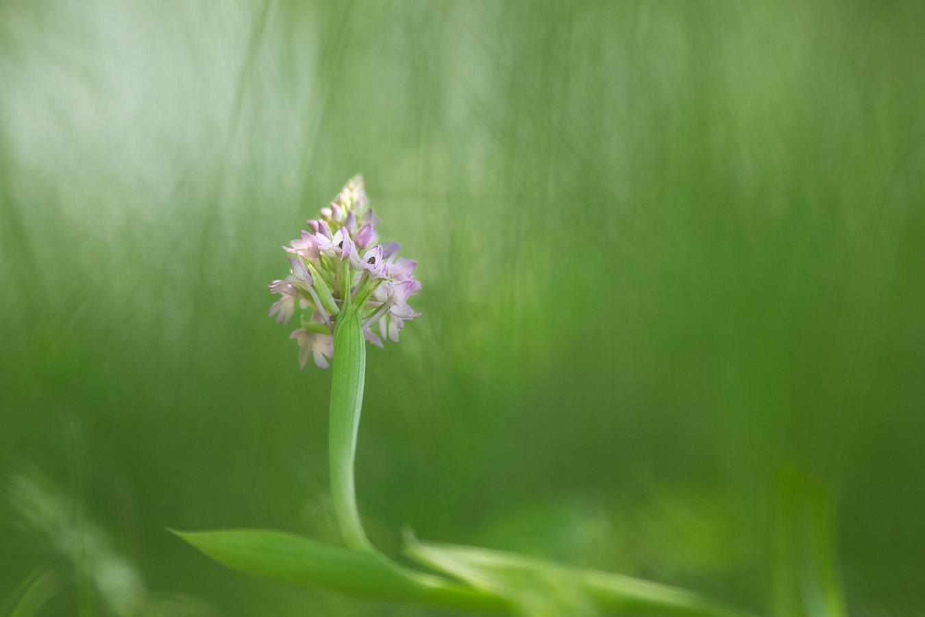 Marie Jeanne Fautres