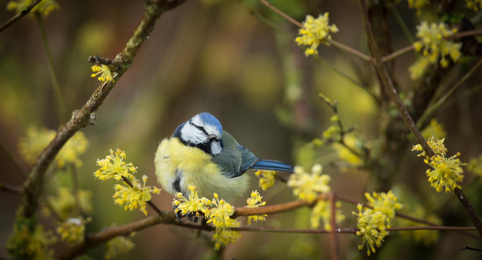 Marie Jeanne Fautres