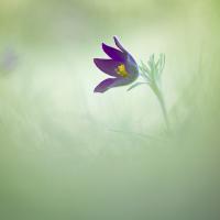 Marie-Jeanne Fautrès