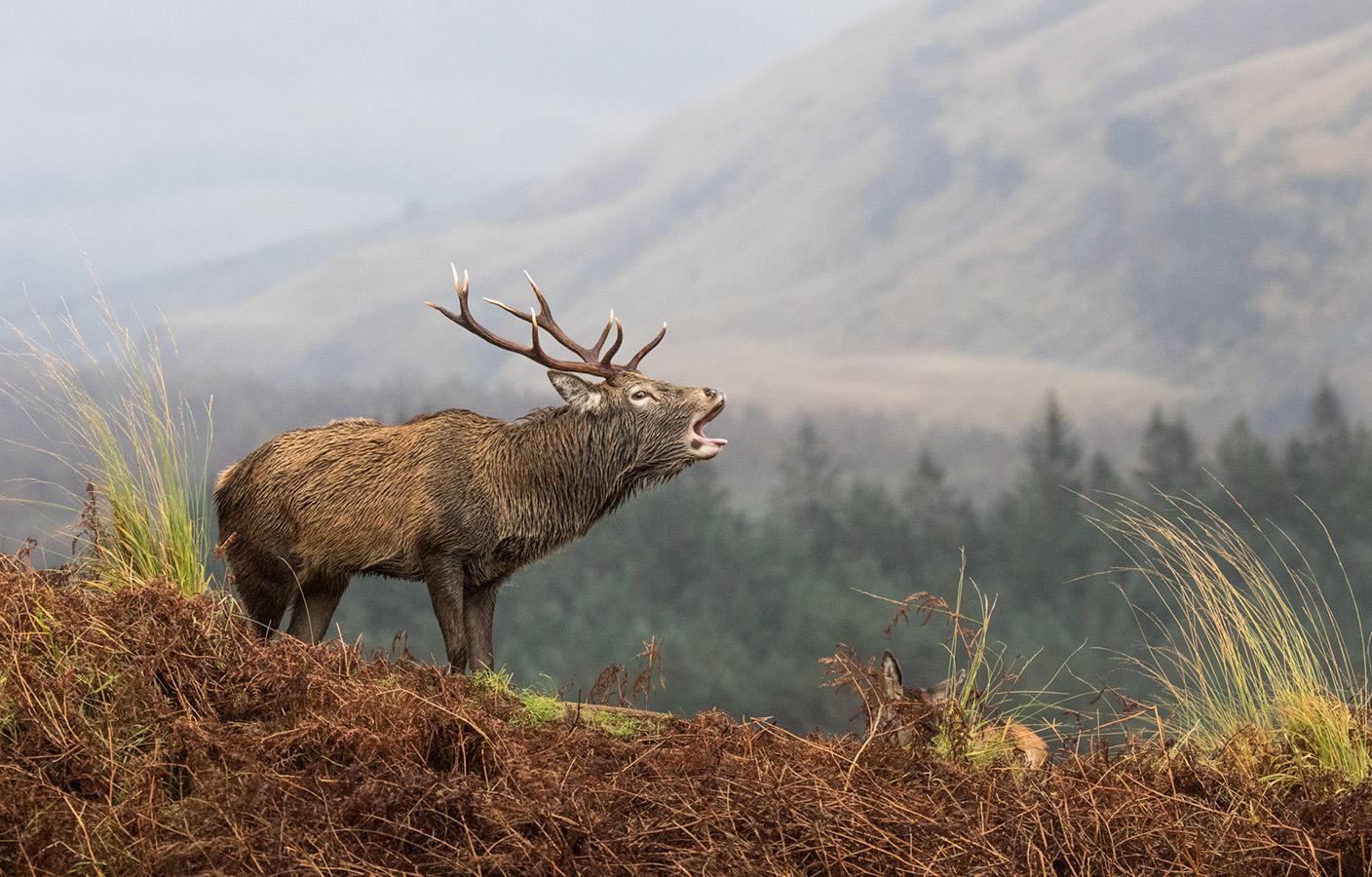 Jean-Pierre Fautrès