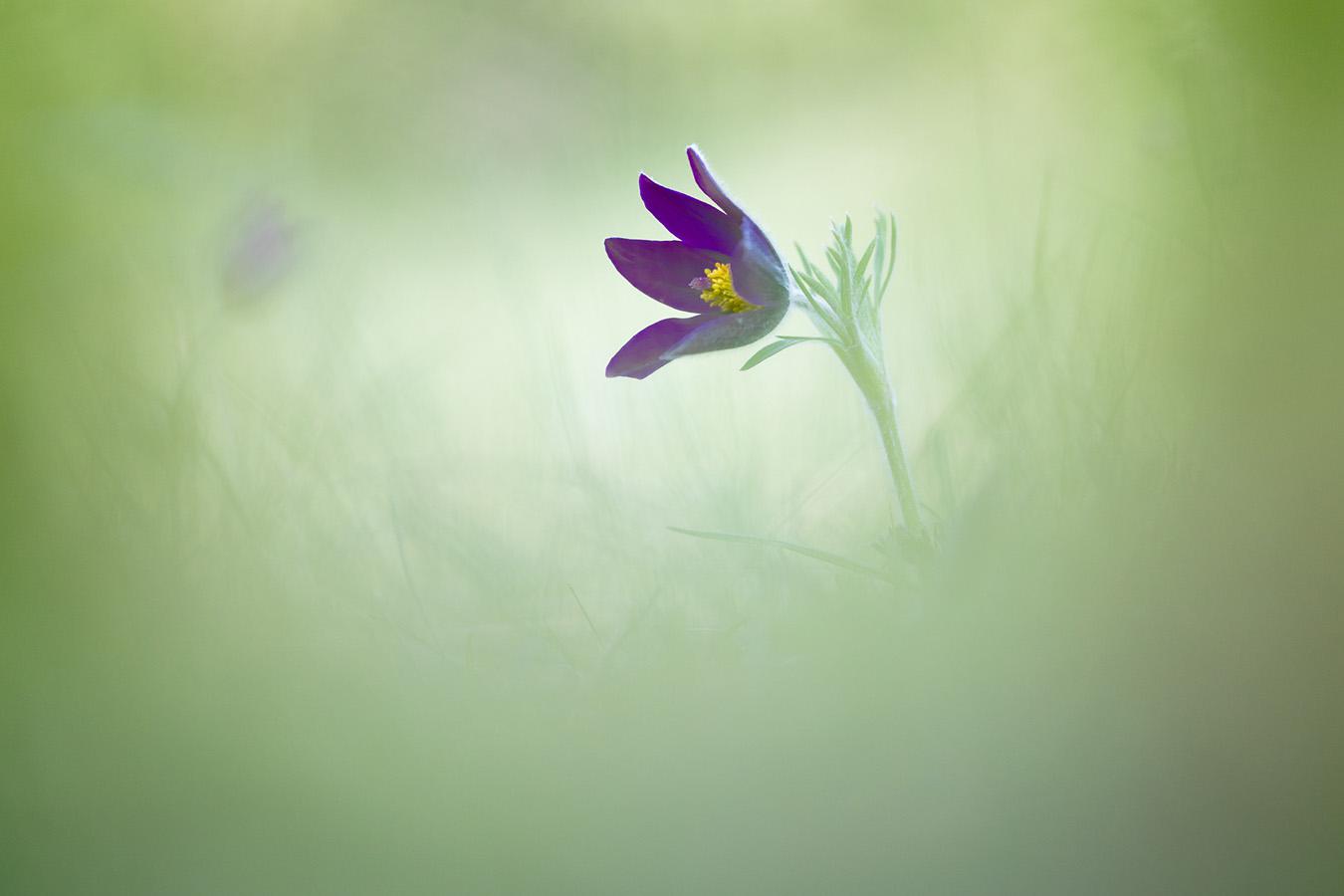 Marie-Jeanne Fautrès