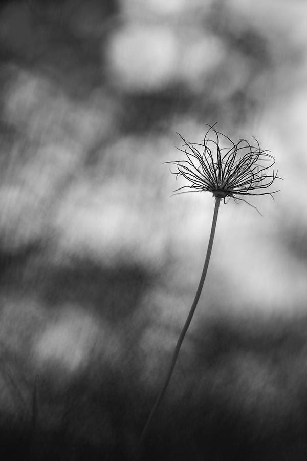 Marie-Jeanne Fautrès