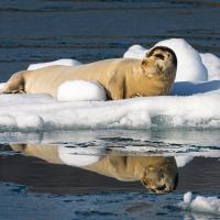 Jean-Pierre Fautrès