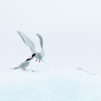 Marie-Jeanne Fautrès