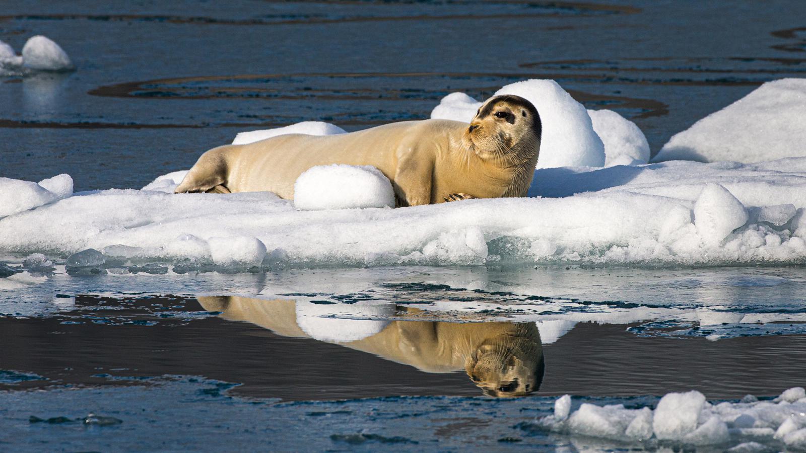 Jean-Pierre Fautrès