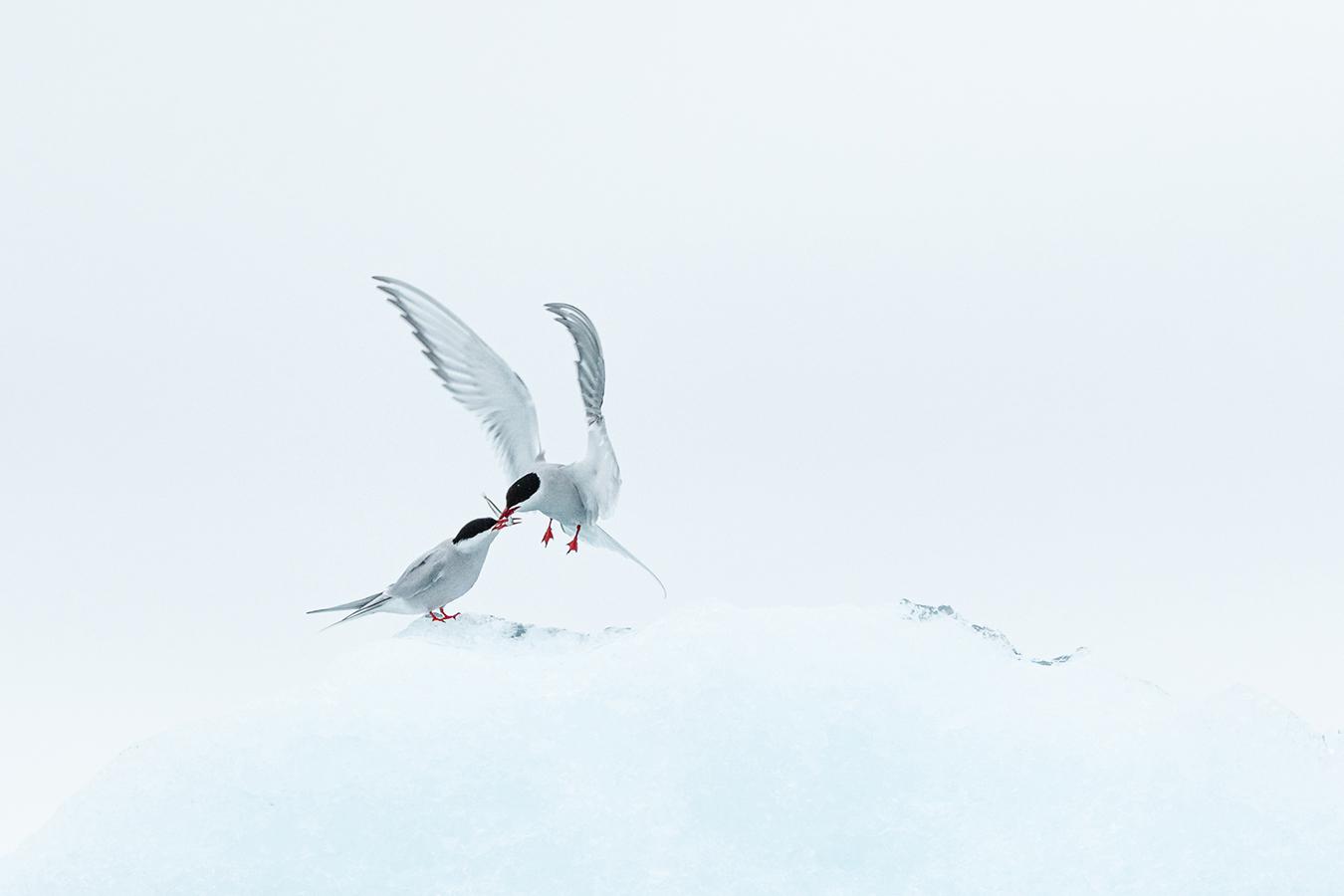 Marie-Jeanne Fautrès