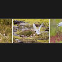 Jean-Pierre Fautrès