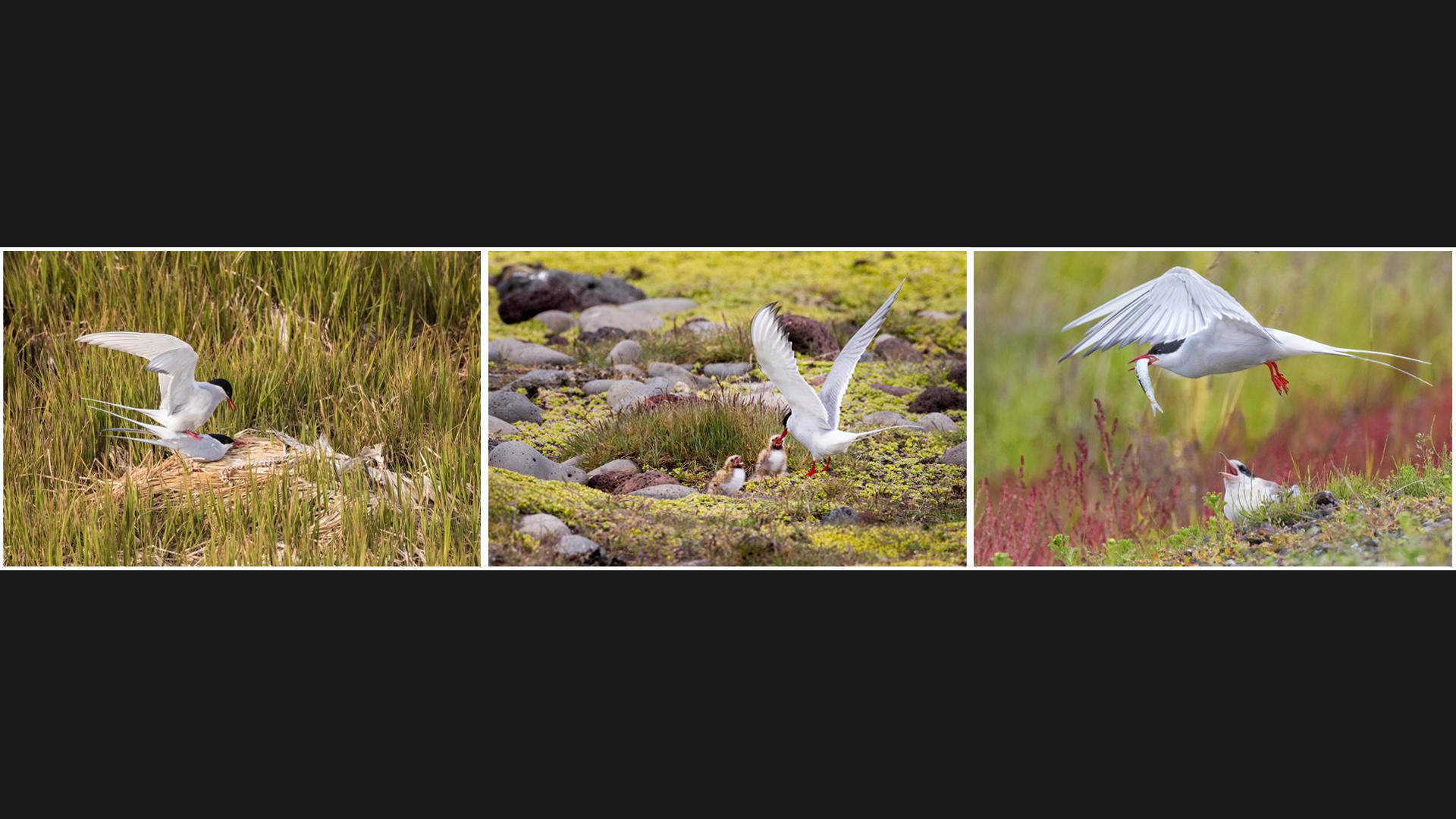 Jean-Pierre Fautrès