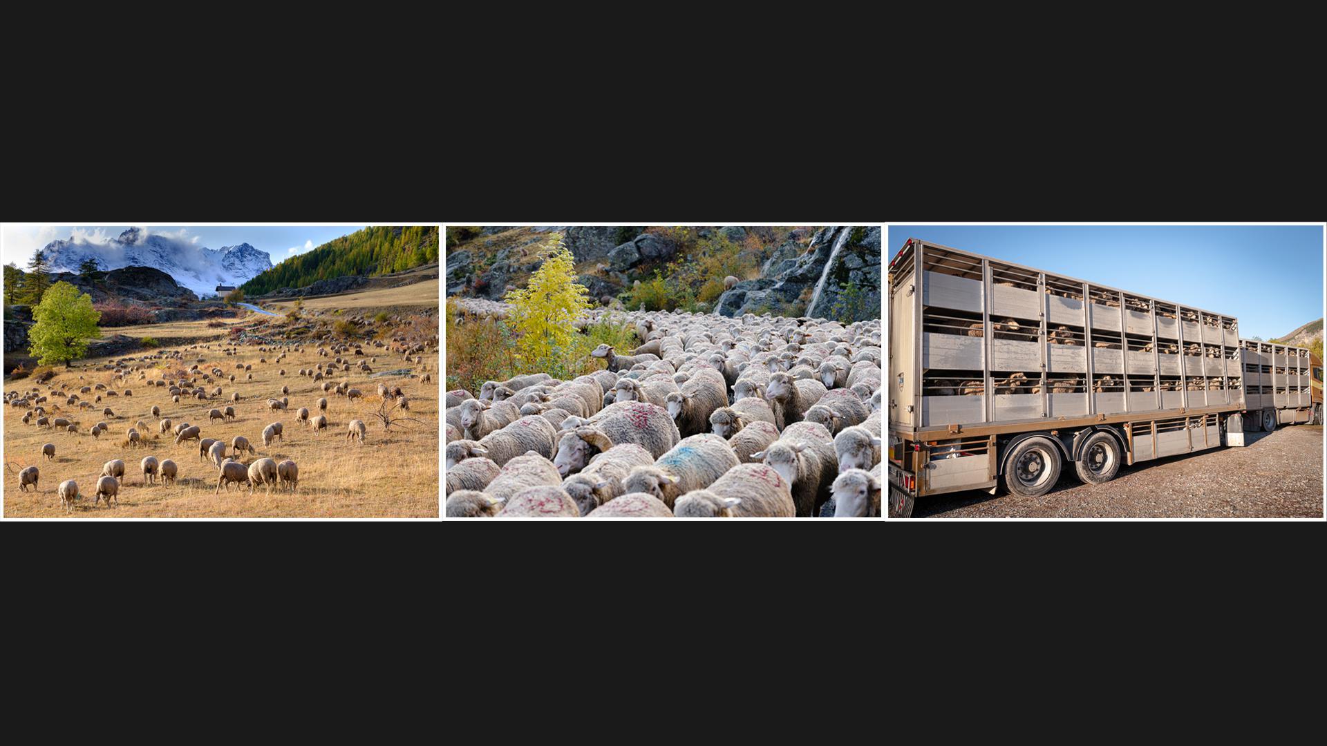 Marie-Jeanne Fautrès