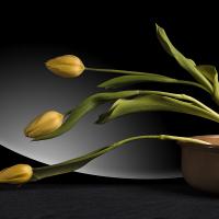 Gérard Antoine - Mention spéciale