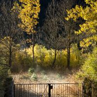 Marie-Jeanne Fautrès