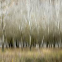 Marie-Jeanne Fautrès