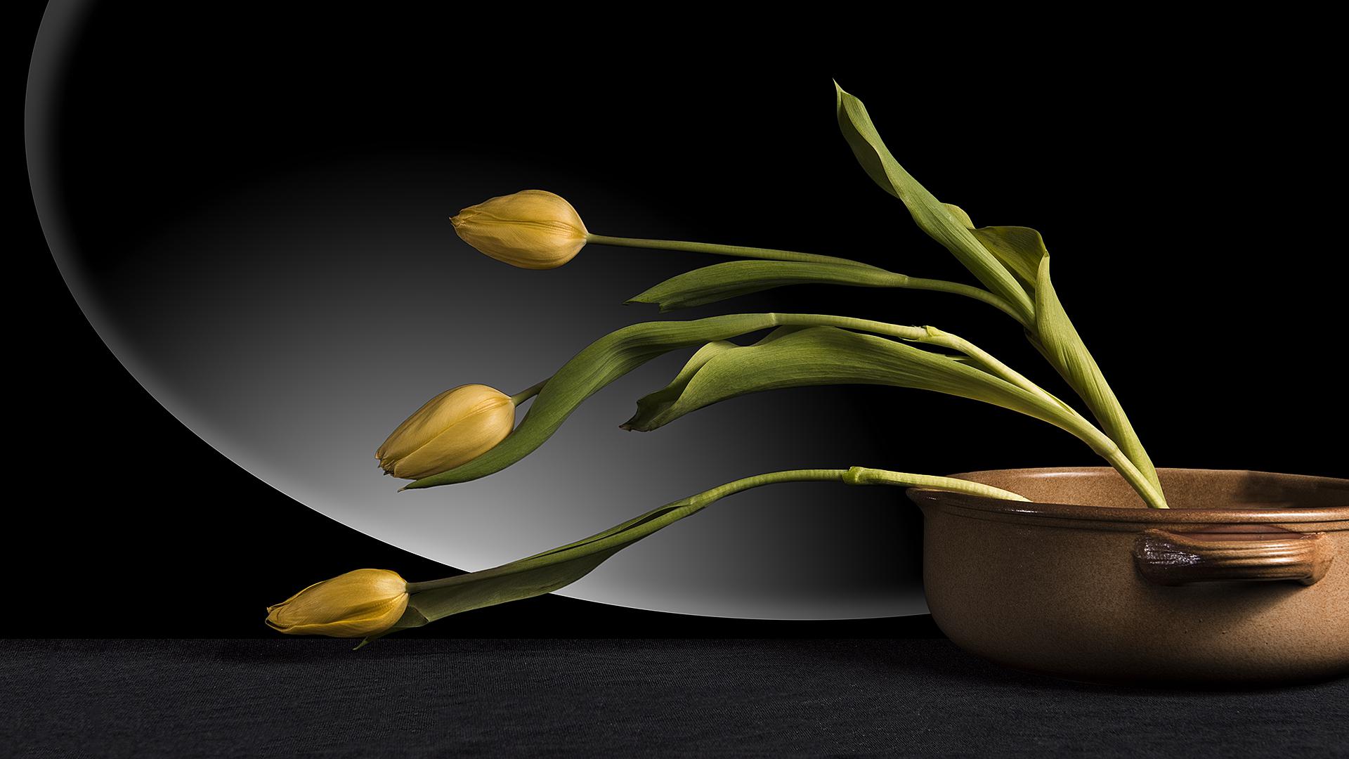 Gérard Antoine - Mention spéciale