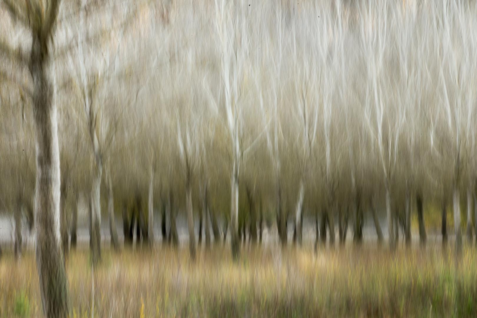 Marie-Jeanne Fautrès