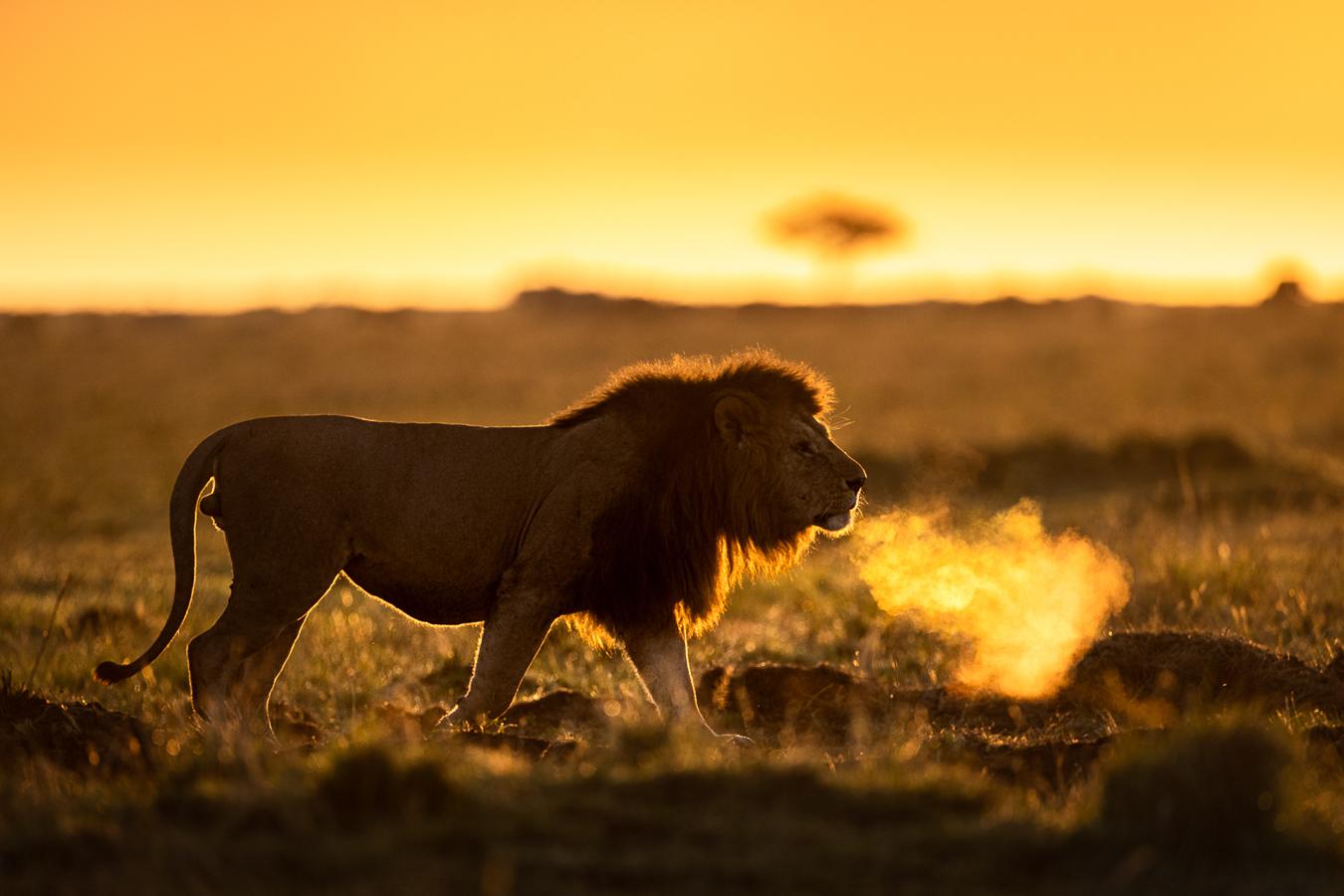 Marie-Jeanne Fautrès