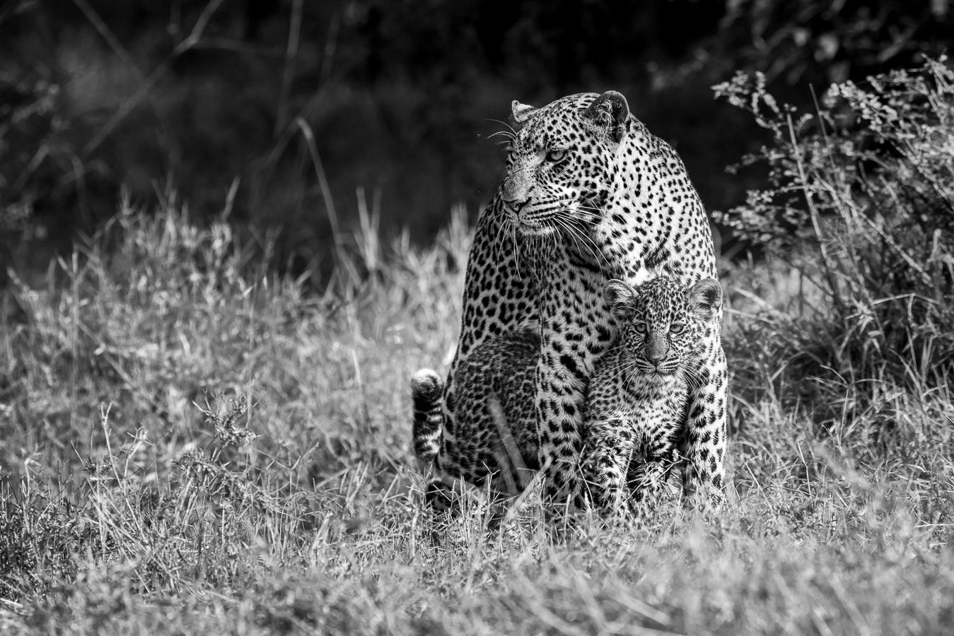 Marie-Jeanne Fautrès