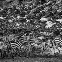 Jean-Pierre Fautrès