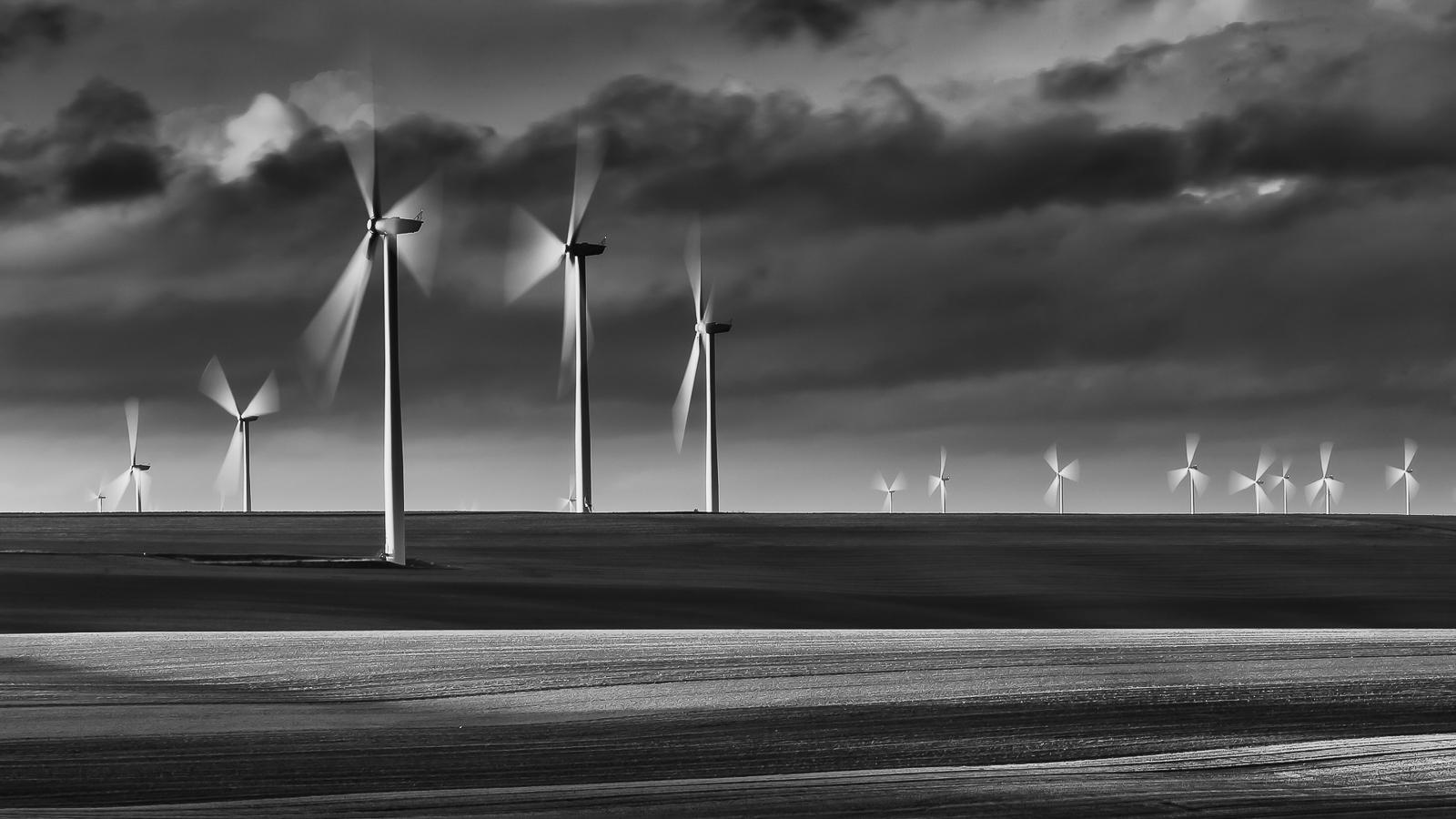 Dominique Guis - Médaille du Paysage
