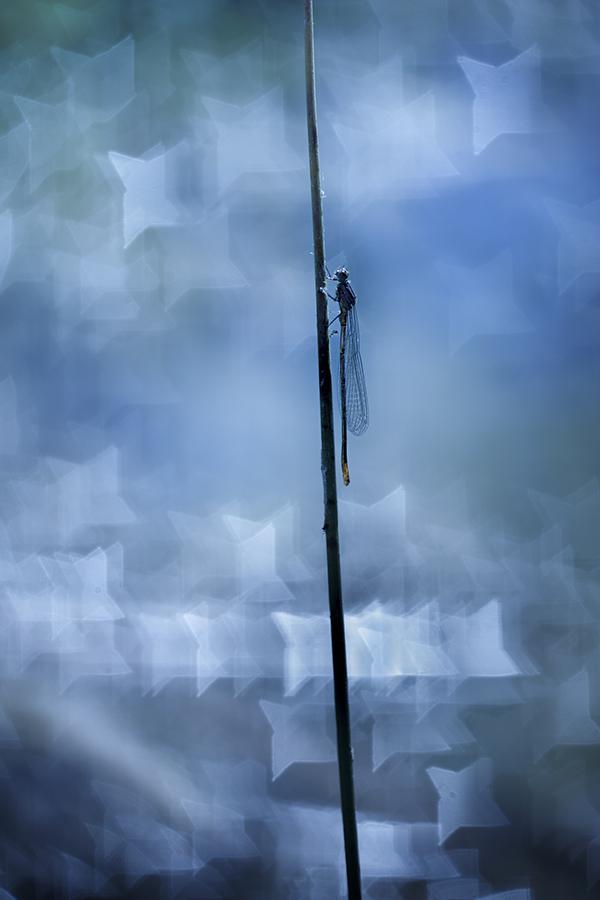 Marie-Jeanne Fautrès