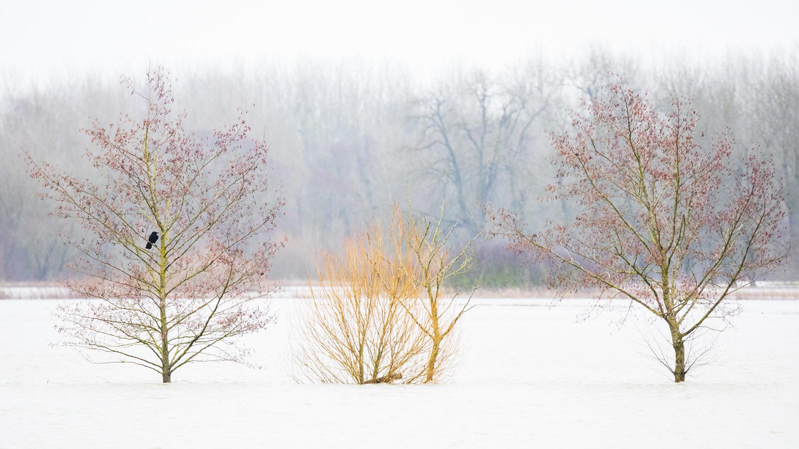 Marie-Jeanne Fautrès