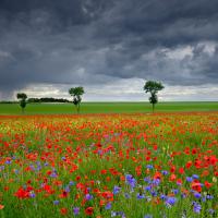 Marie-Jeanne Fautrès