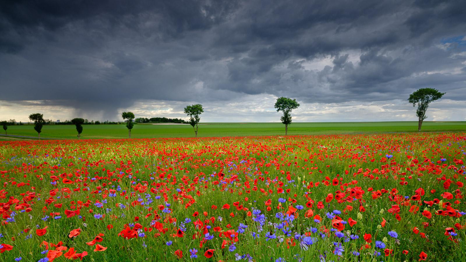 Marie-Jeanne Fautrès