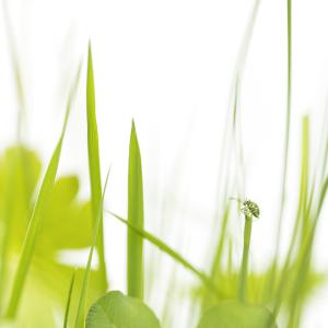 Marie-Jeanne Fautrès