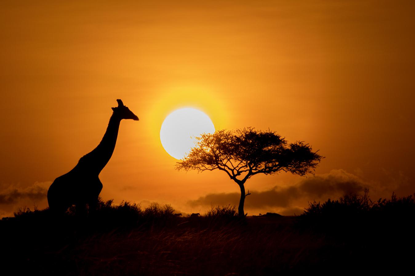 Jean-Pierre Fautrès