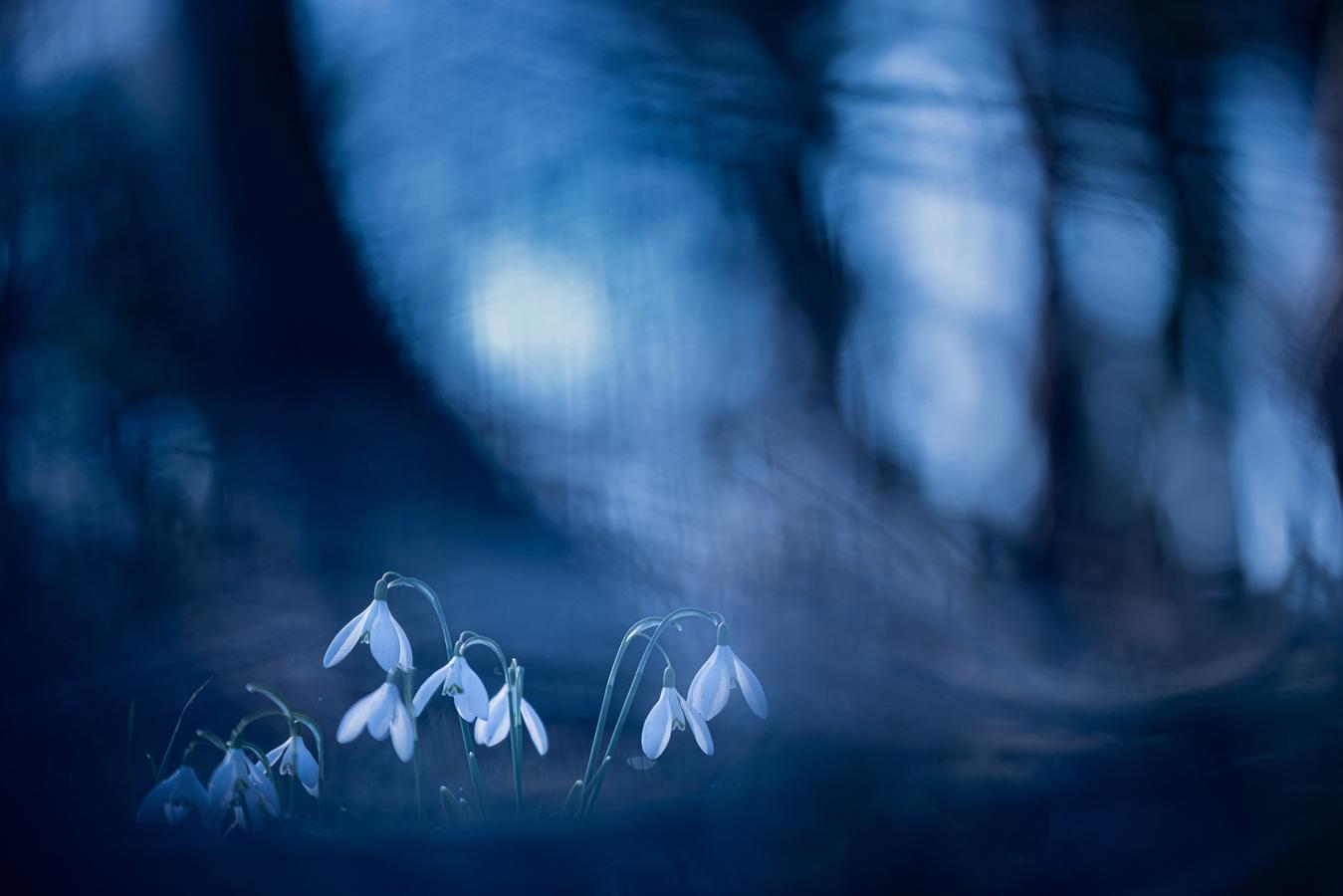 Marie-Jeanne Fautrès