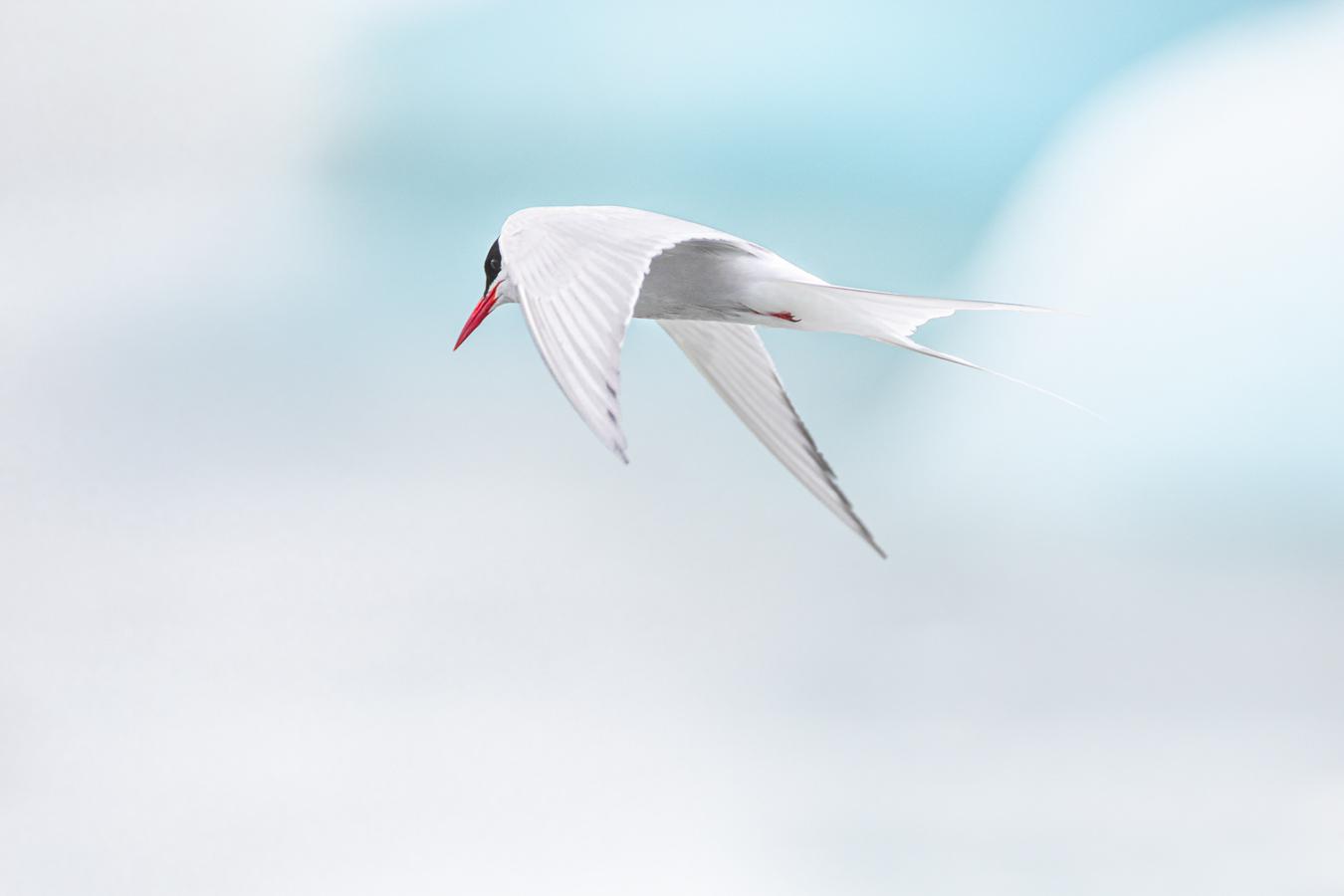 Marie-Jeanne Fautrès