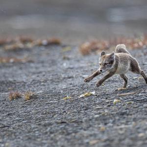 Marie-Jeanne Fautrès