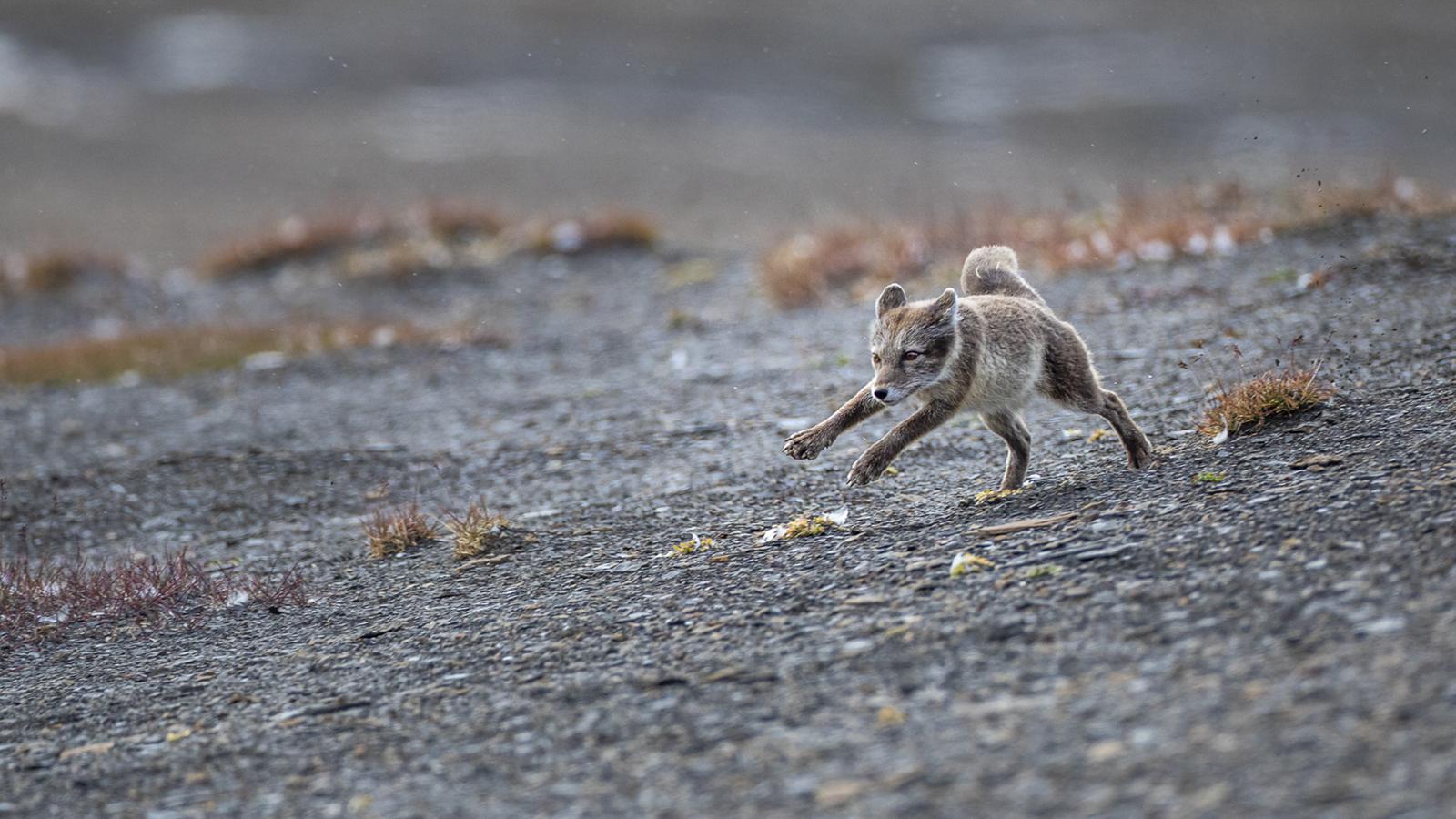 Marie-Jeanne Fautrès