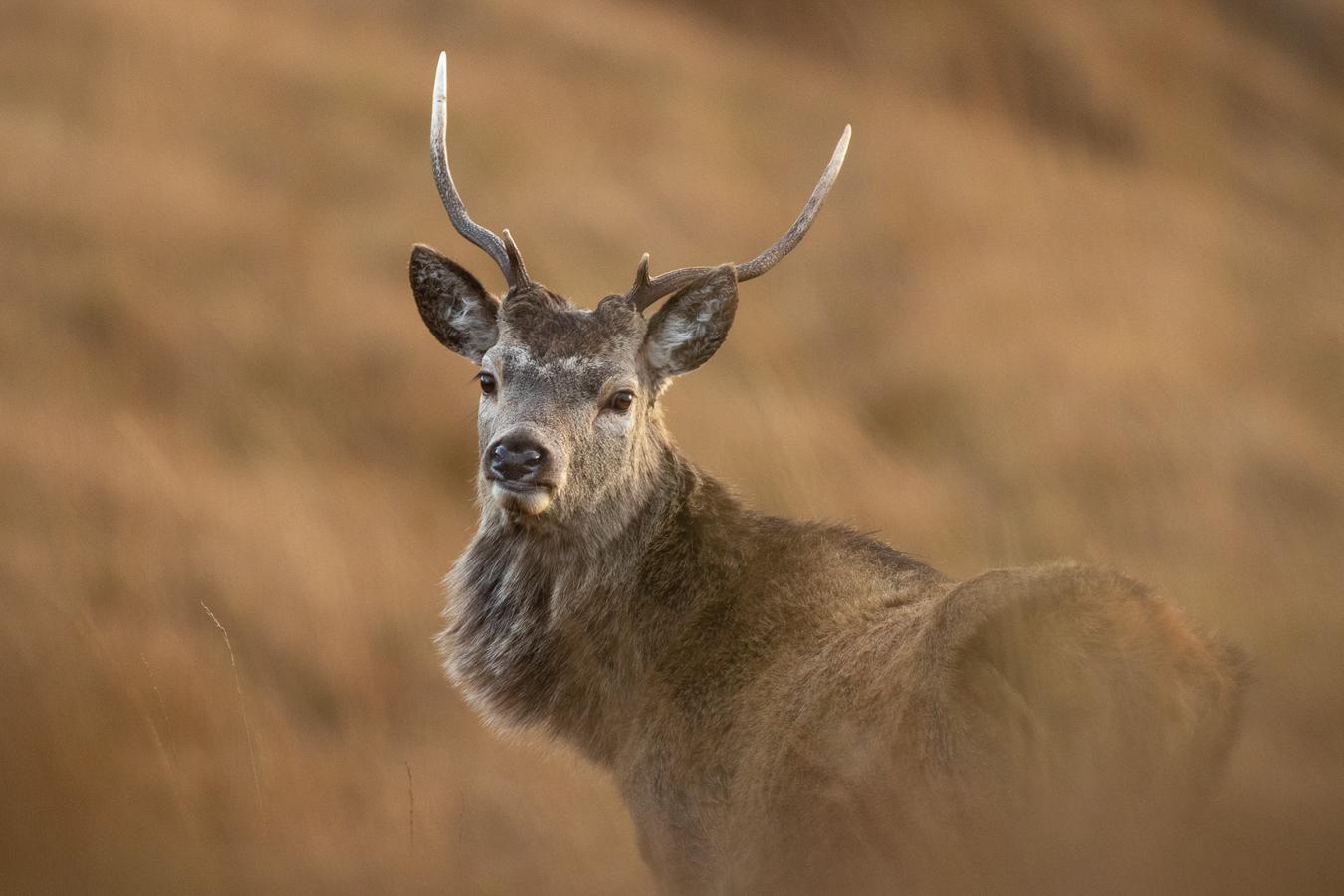 Marie-Jeanne Fautrès