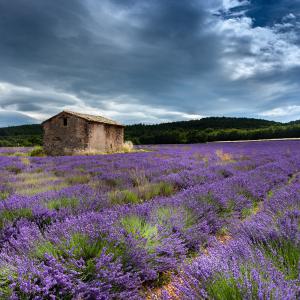 Jean-Pierre Fautrès