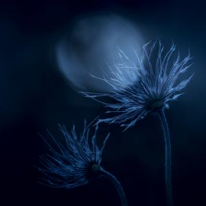 Marie-Jeanne Fautrès