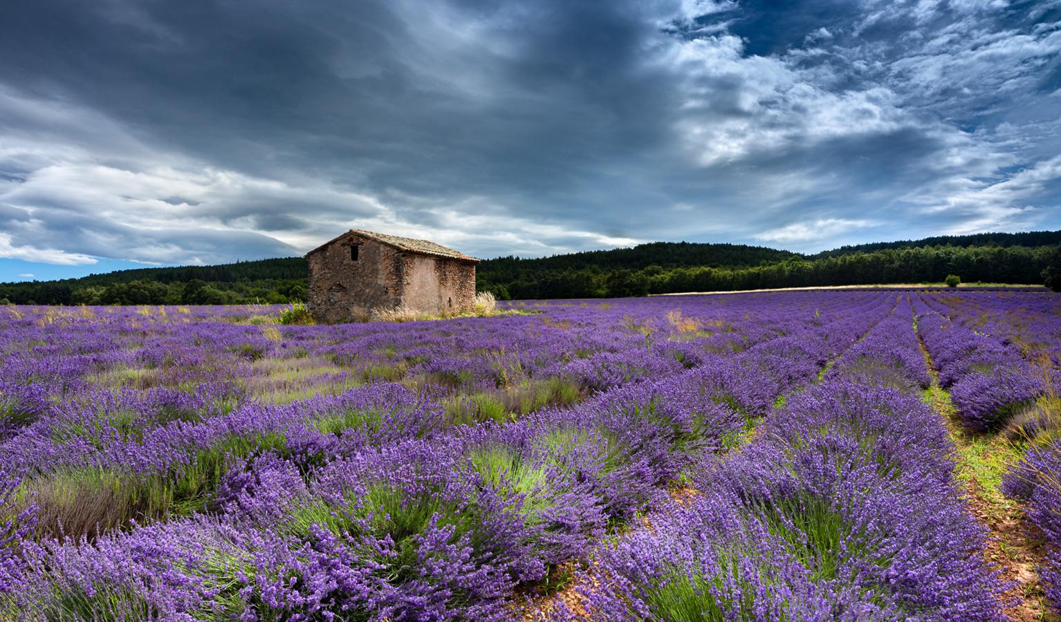 Jean-Pierre Fautrès