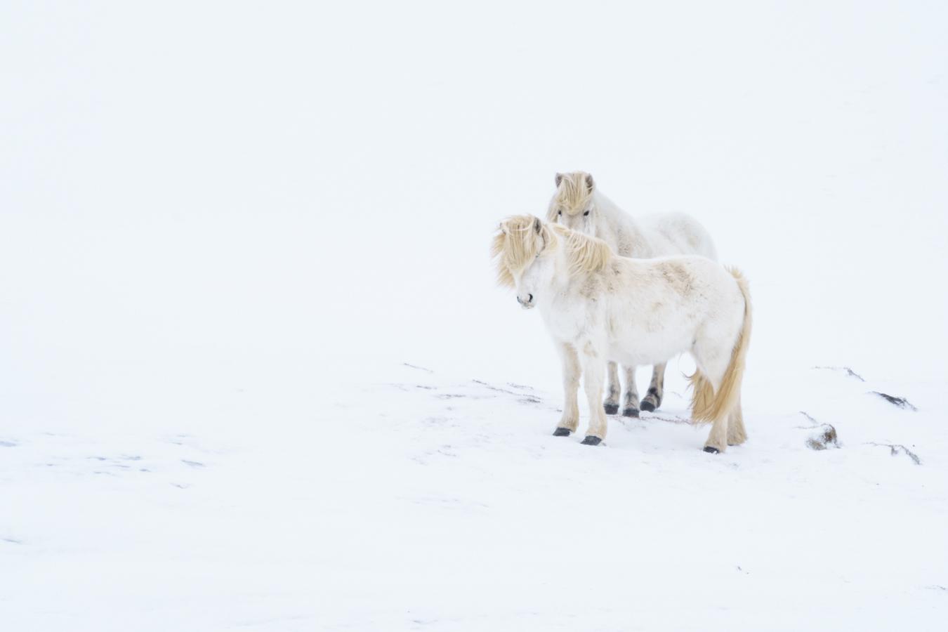 Marie-Jeanne Fautrès