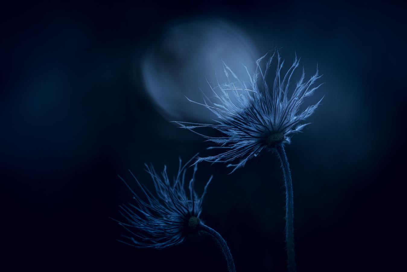 Marie-Jeanne Fautrès