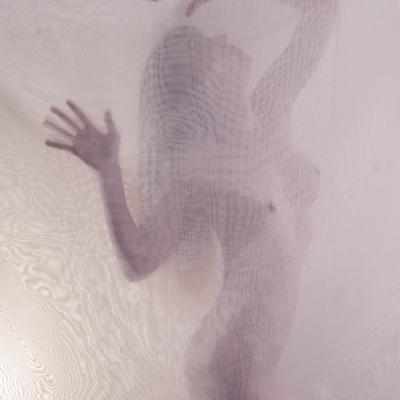 Gérard Chenivesse - Derrière le voile du désir