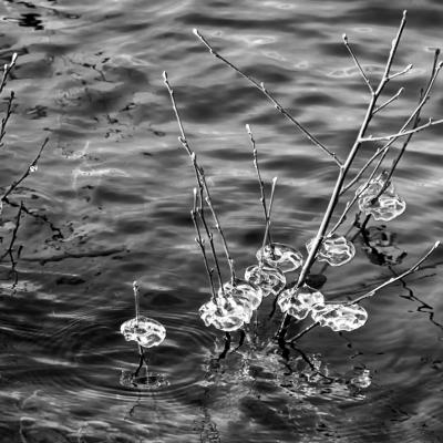 Nathalie Kalbé - Glace scintillante