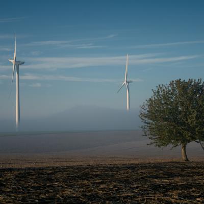 Patrick Picard - Brumes matinales