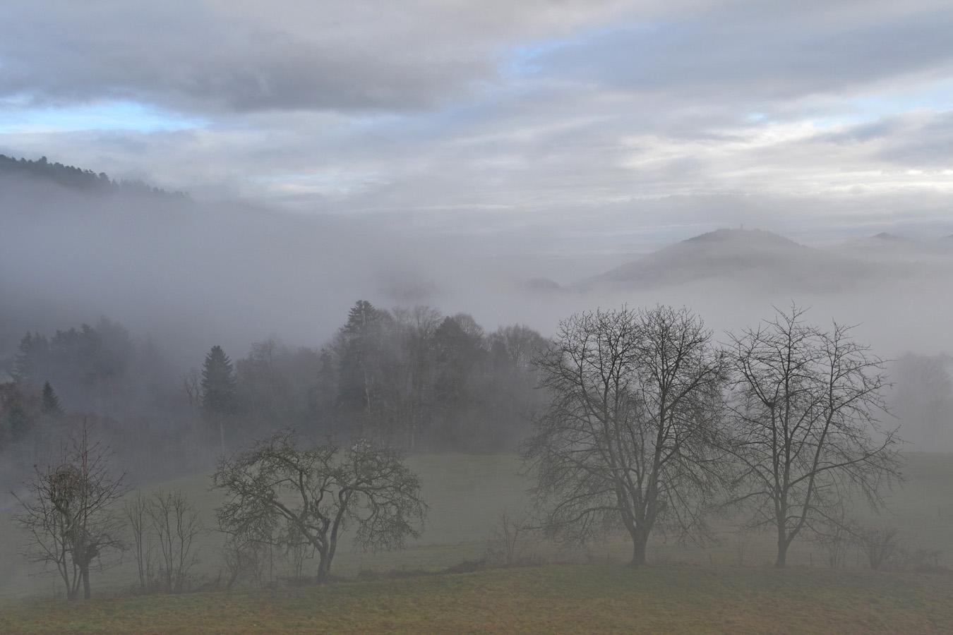 Patrick Helfer - Brumes vosgiennes