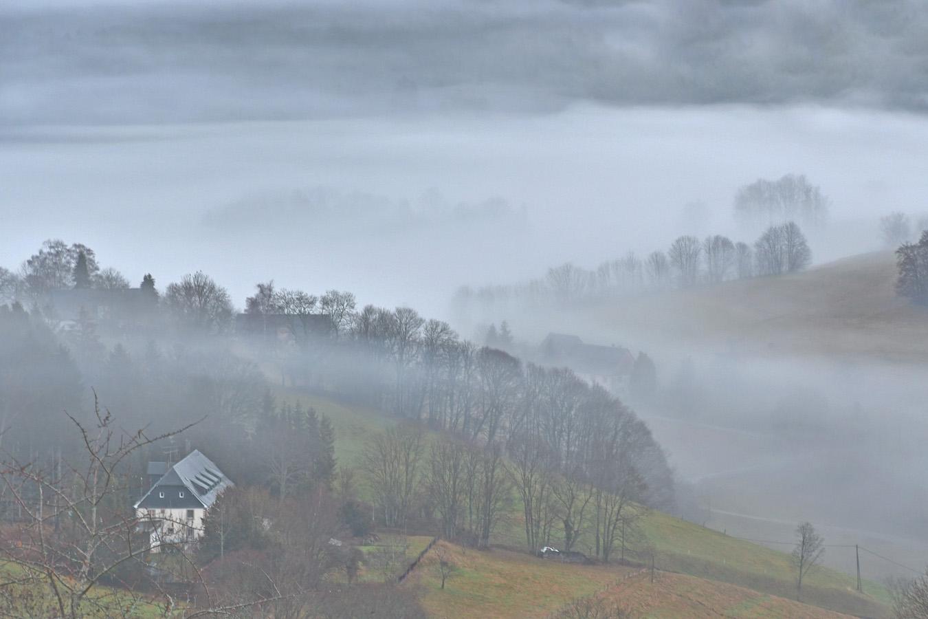 Patrick Helfer - Brumes vosgiennes